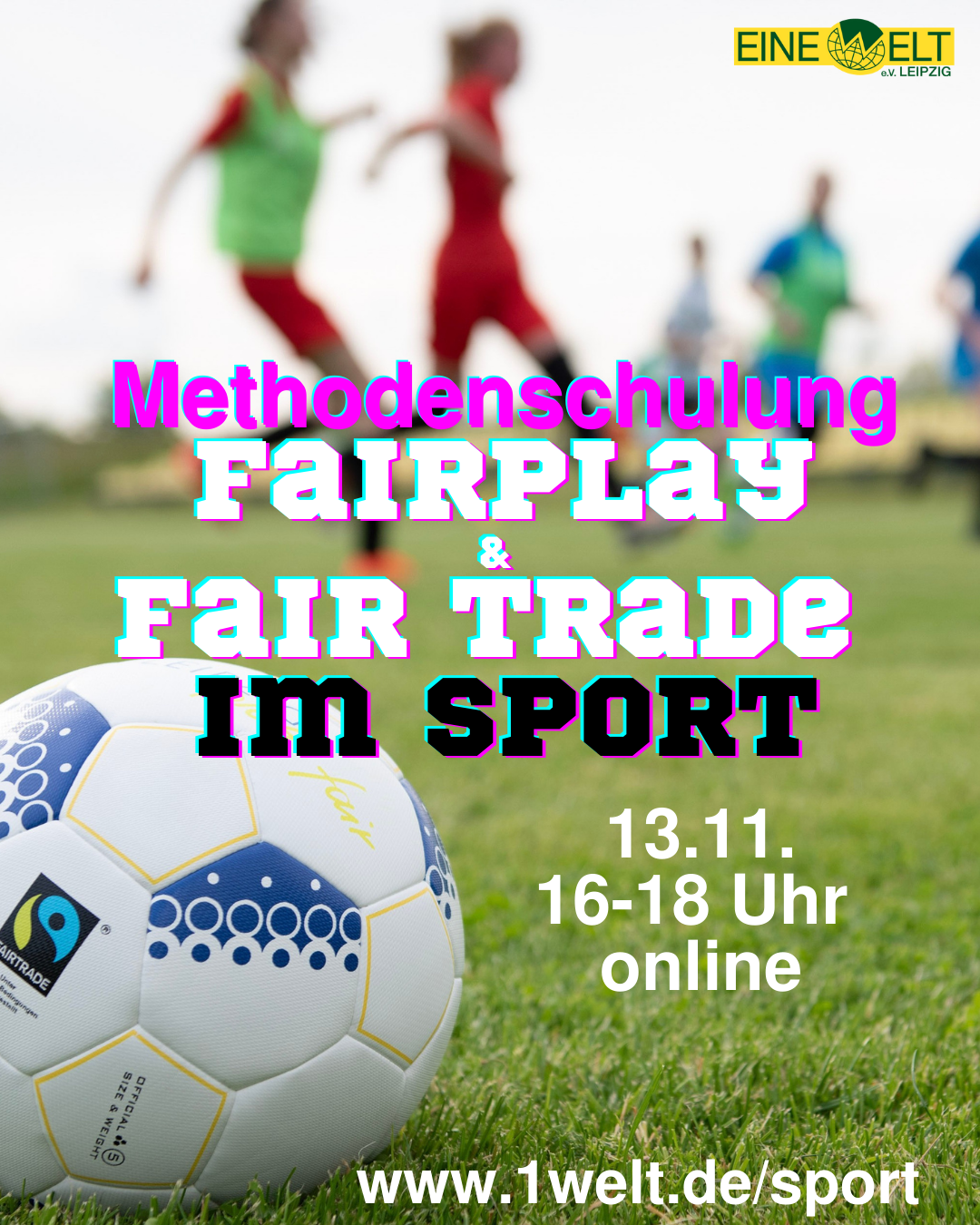 Flyer Multischulung